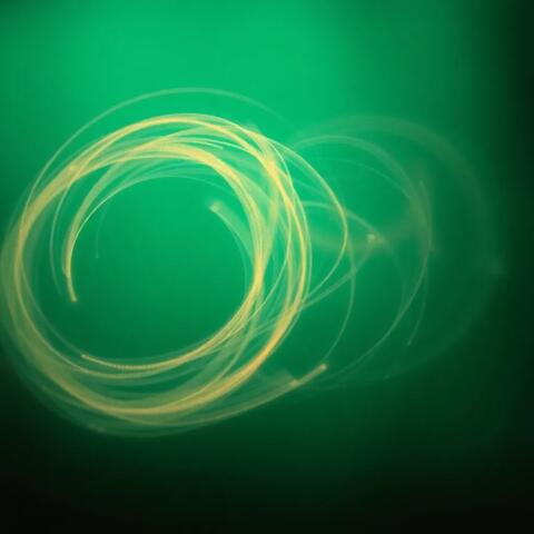 Everything Is Selling