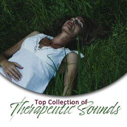 Deep Sleep Hypnosis