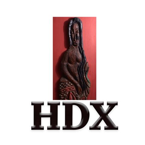 HDX 4
