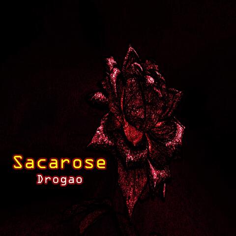 Sacarose