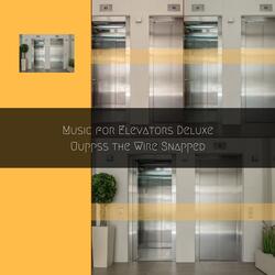 Background Music for Enjoying the Phenomenal Sensation of Being in a Falling Elevator
