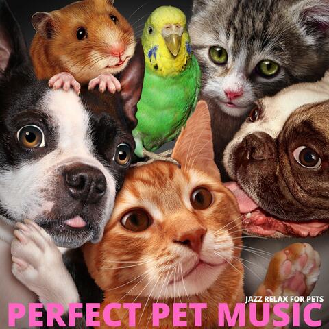 Jazz Relax for Pets