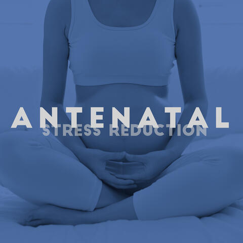 Antenatal Stress Reduction: The Best Relaxing Music for Pregnant Women to Relax, Chill Out and Calm Down