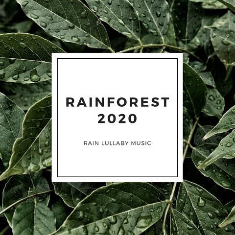 Rainforest 2020 - Rain Lullaby Music
