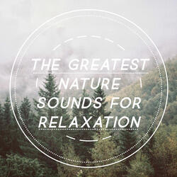 Sense of Calm