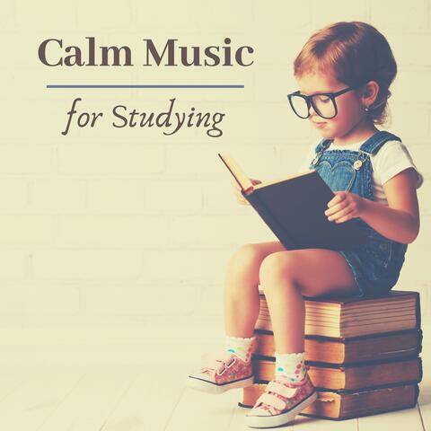 Calm Music for Studying - Instrumental Piano Music