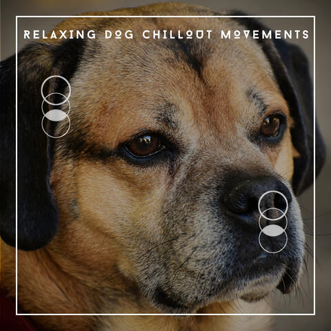 Relaxing Dog Chillout Movements - Ambience For Calmer Pups