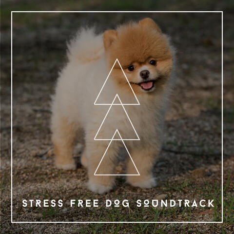 Music To Reduce Doggy Anxiety - Stress Free Dog Soundtrack