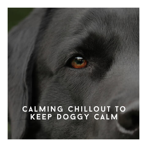 Calming Chillout To Keep Doggy Calm