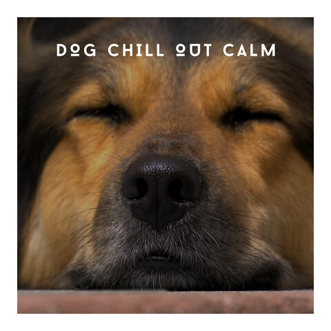 Dog Chill Out Calm - Stress Free Pet Time!