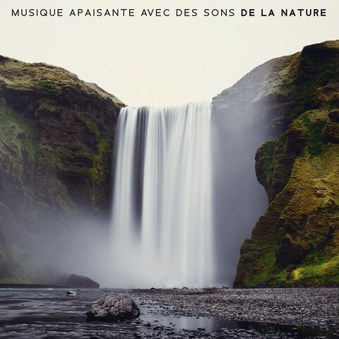 Nature Sounds Sons De La Nature Iheartradio