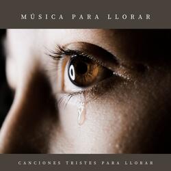 Libera el Corazón
