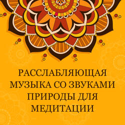 Медузы