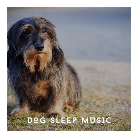 Dog Sleep Music