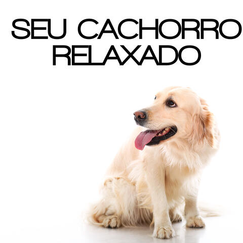 Seu Cachorro Relaxado - Sons da Natureza Que Acalmarão Seu Animal de Estimação, Membro da Família, Amor e Confiança, Juntos para Sempre