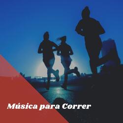Entrenar en el Gym