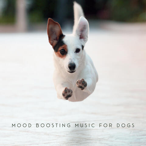 Mood Boosting Music for Dogs: Relaxing Sounds That’ll Improve Your Pet's Mental Condition