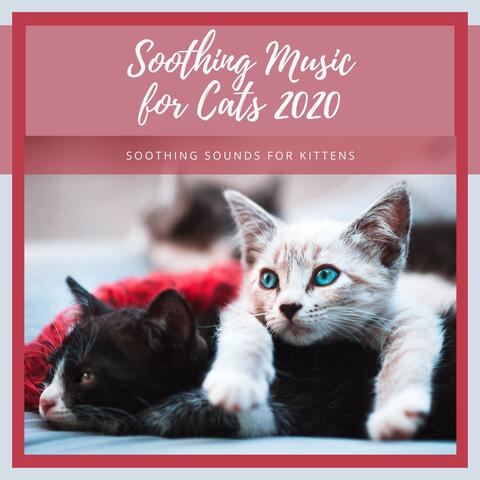 Soothing Music for Cats 2020 – Soothing Sounds for Kittens