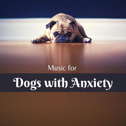 Music for Dogs with Anxiety – Separation Anxiety Relief