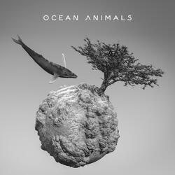 Amazing Whales Song