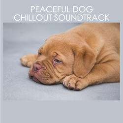 Chill Out Dog Ambience