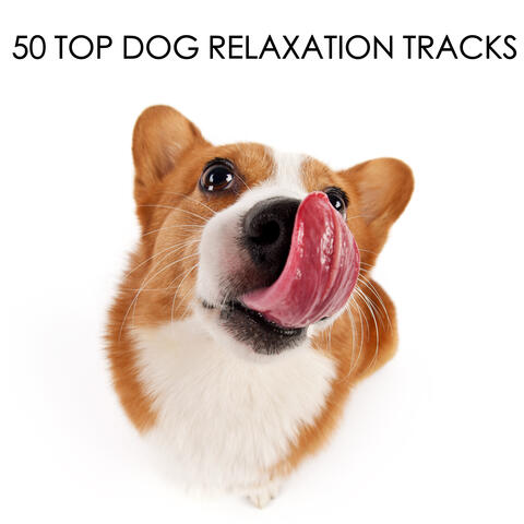 50 Top Dog Relaxation Tracks