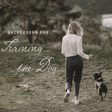 Background for Training the Dog - Teach Your Pet to Respond to Commands and Have Fun with Your Best Friend