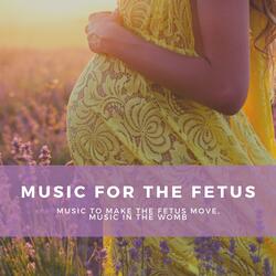 Music to Make the Fetus Move
