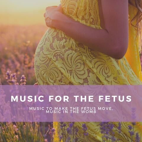 Music for the Fetus – Music to Make the Fetus Move, Music in the Womb