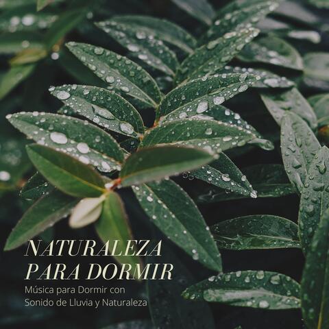 Naturaleza para Dormir – Música para Dormir con Sonido de Lluvia y Naturaleza