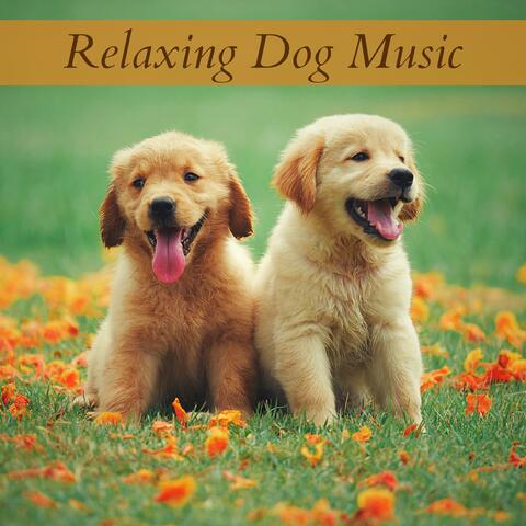 Relaxing Dog Music - Anti Stress Music for Puppies
