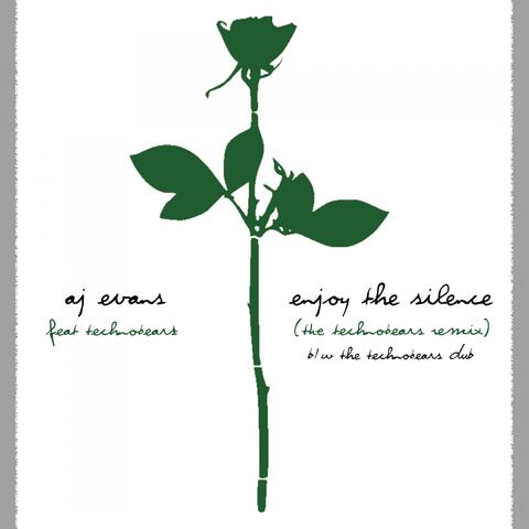 Enjoy the Silence