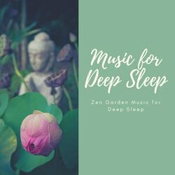 Deep Sleep Journey Through Self Hypnosis