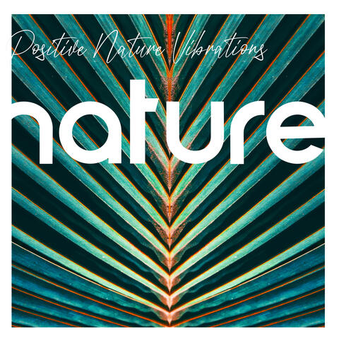 Positive Nature Vibrations – Really Relaxing New Age Music, Mesmerizing Nature Sounds for Spa, Meditation and Sleep, Rest in the Bosom of Nature, Soothe, Ambient Music