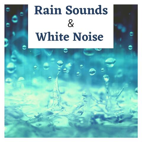 Rain Sounds & White Noise - Healing Rain and Relaxing Sleep Music