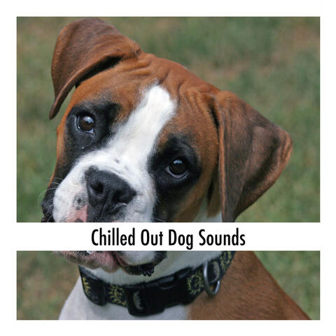 Chilled Out Dog Sounds