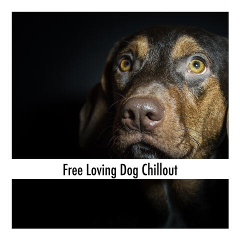 Free Loving Dog Chillout
