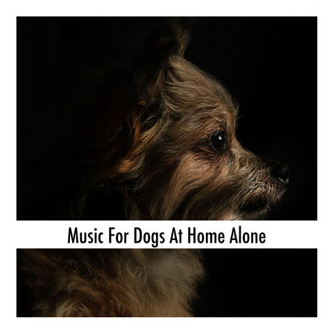 Music For Dogs At Home Alone