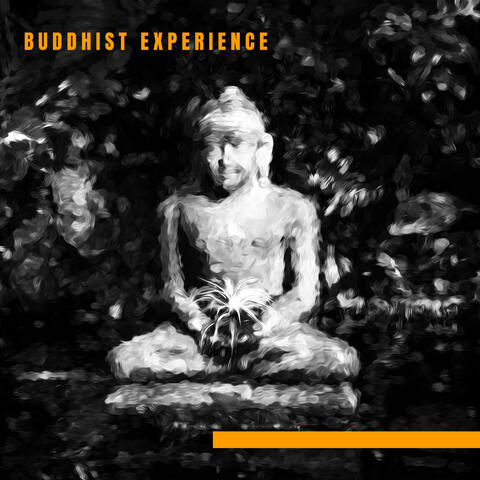 Buddhist Experience – Deep Meditation, Harmony and Balance, Blissful Moments, Relaxation, Reiki, Chakra Meditation, Nature of Zen