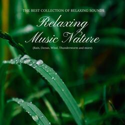 Relaxing Music Nature