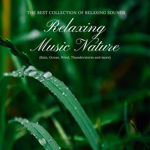 Relaxing Music Nature CD - The Best Collection of Relaxing Sounds (Rain, Ocean, Wind, Thunderstorm and more)