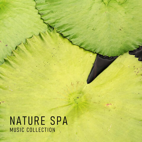 Nature Spa Music Collection – Ambient Nature Sounds for Relaxation During Beauty Treatments, Massage Time, Revitalize, Smooth Skin, Wellness Oasis, Water, Birds