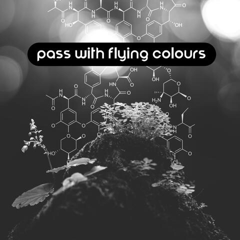 Pass with Flying Colours: Concentration Supporting Music to Help You Prepare for an Important Exam or Test