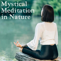 Calming Zen