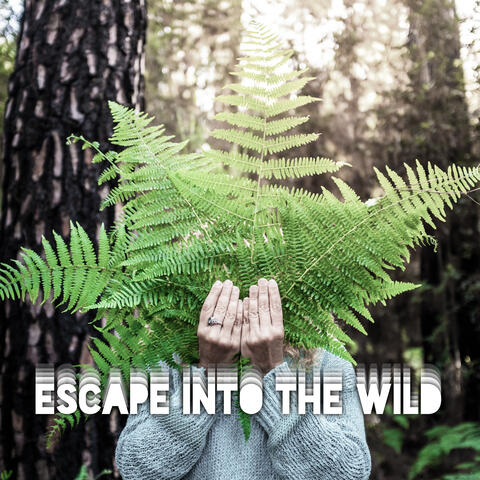 Escape Into the Wild – Beautiful Nature Sounds Collection for Relaxation, Meditation, Sleep or Study, Water, Birds, Rain and Birds Songs, Healing Therapy, Piano