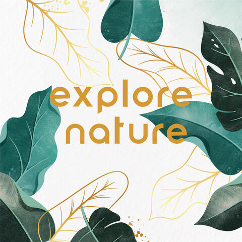 Explore Nature - 15 Sounds: Mountain Stream, Jungle, Forest, Caves, Countryside, Sea, Storm, Ocean