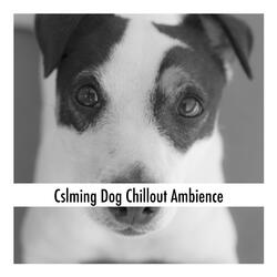 Puppy Calming Vibes