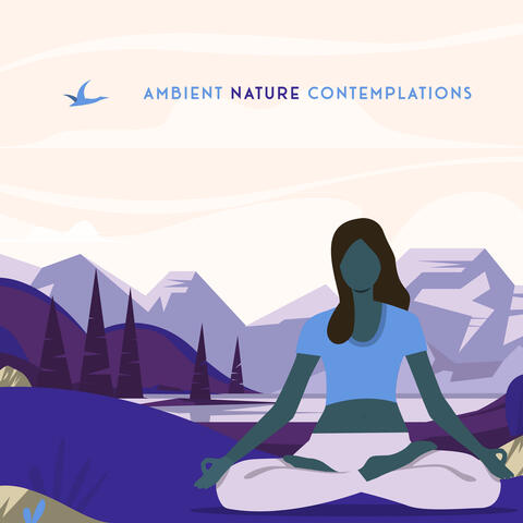 Ambient Nature Contemplations - Meditation Spa for Body and Mind