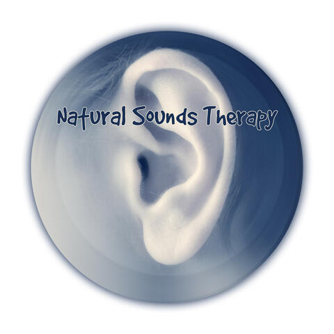 Natural Sounds Therapy &#8211; Soothing Melodies for Relaxation, Sleep, Meditation, Study or Yoga Exercises