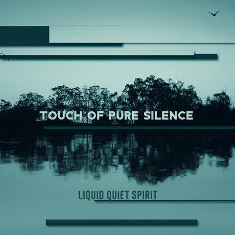 Touch of Pure Silence